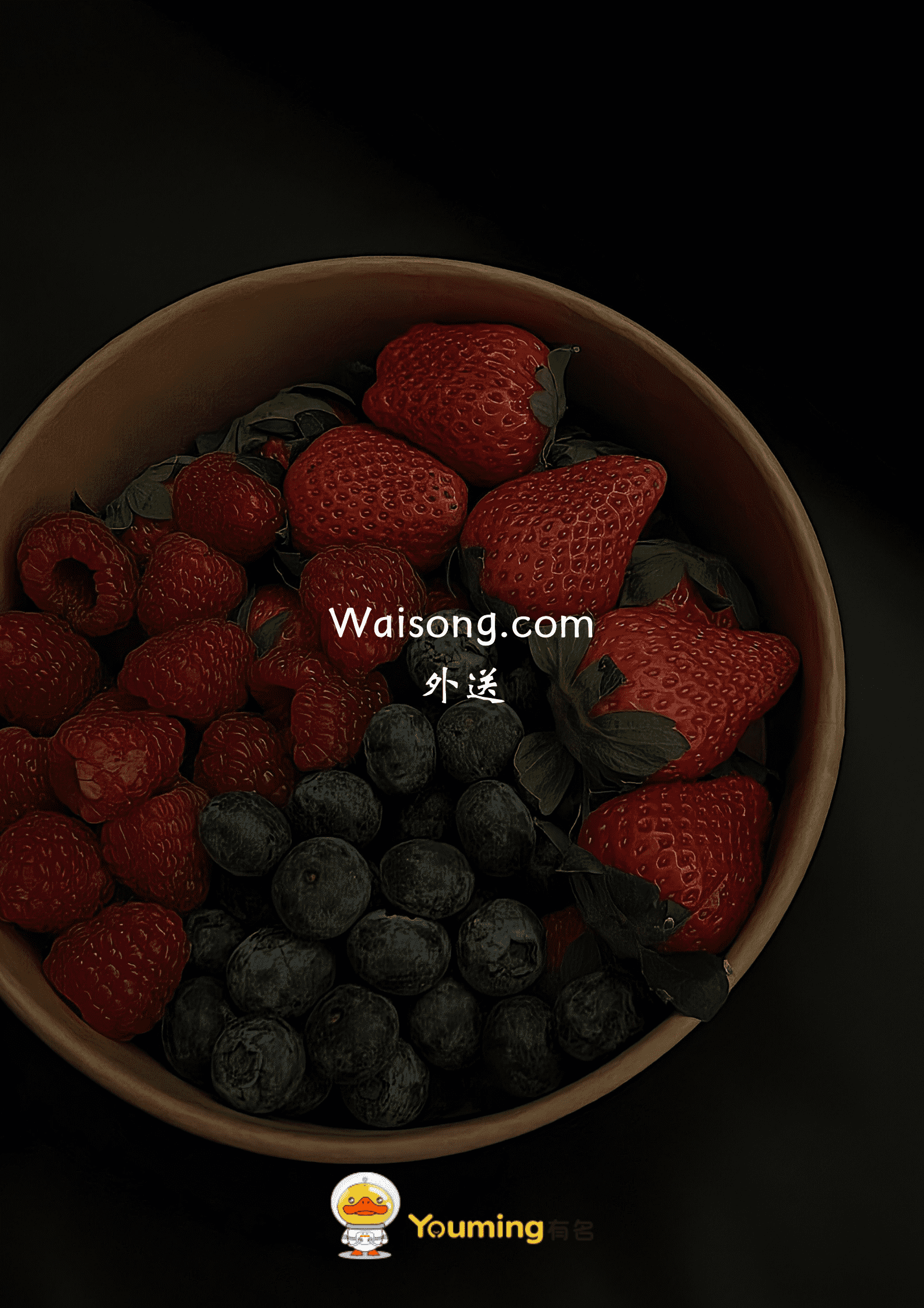 waisong.com