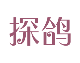 探鸽