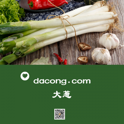 dacong.com