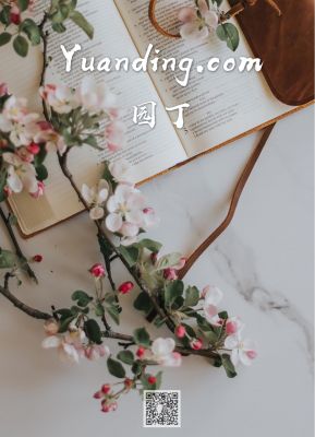 yuanding.com