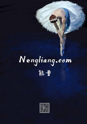 nengliang.com