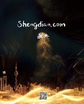 shengdian.com