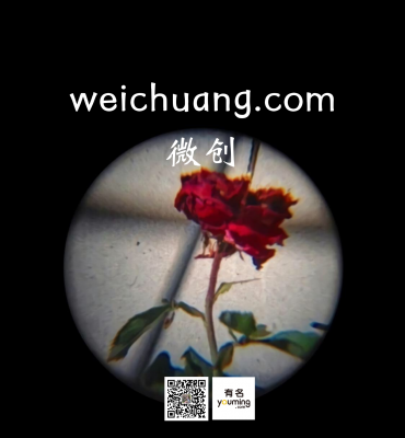 weichuang.com