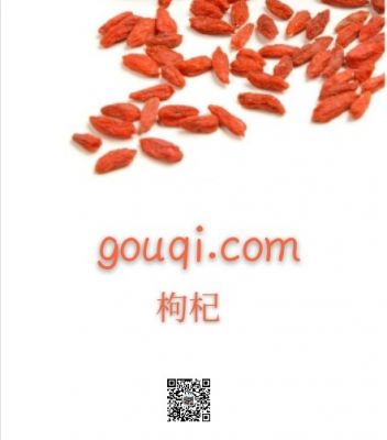 gouqi.com