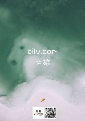 bilv.com