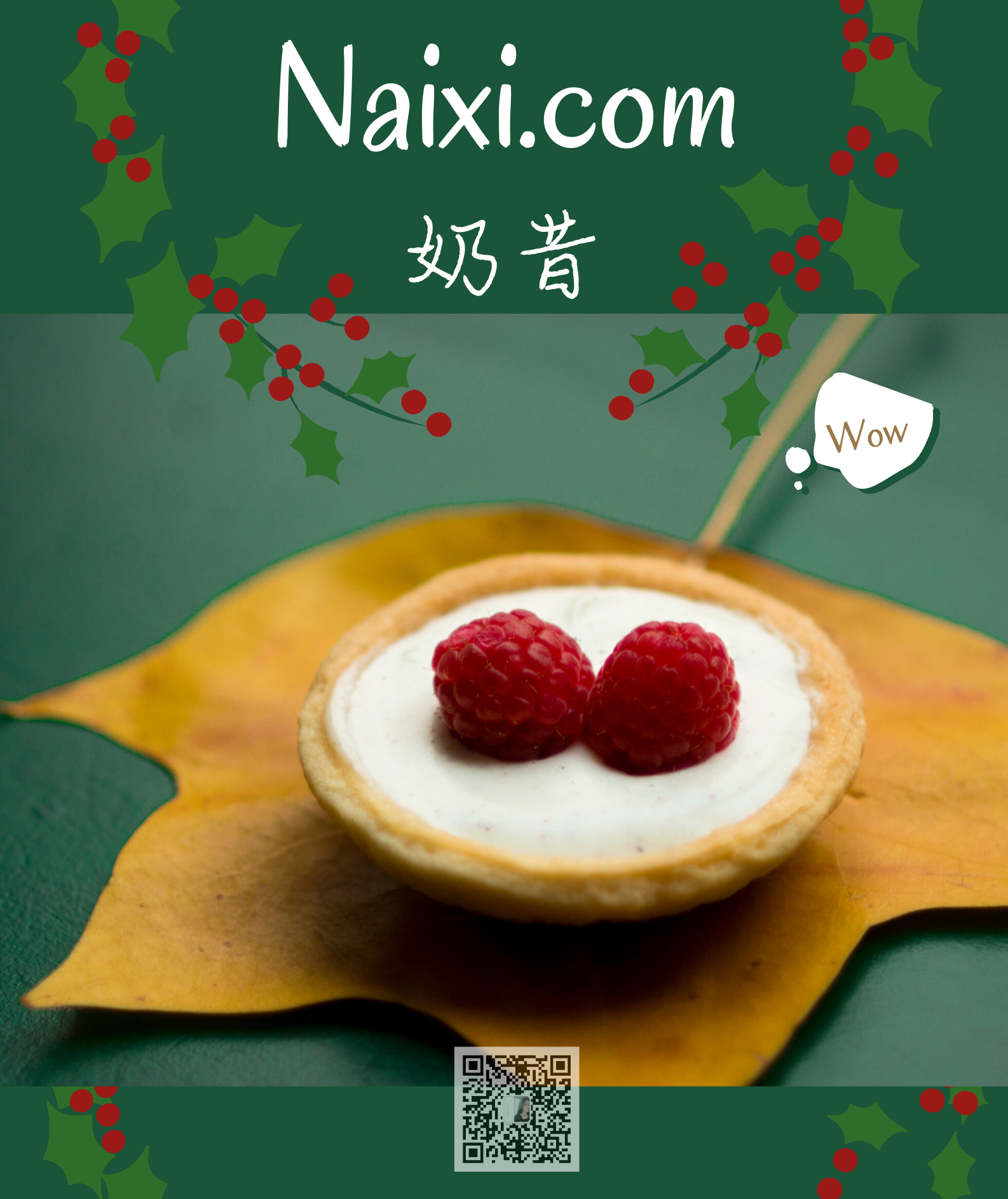 naixi.com